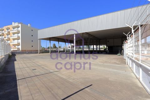 Erhvervsejendom i Quelfes, Faro, Quelfes - € 1.600.000 | Ref: 6425022 - foto 5