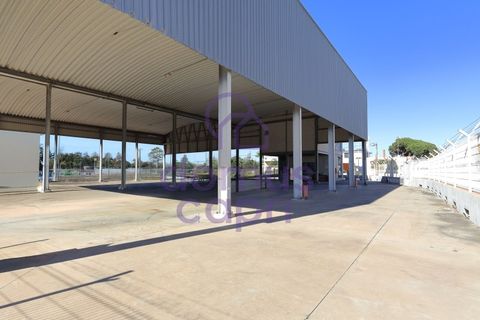 Erhvervsejendom i Quelfes, Faro, Quelfes - € 1.600.000 | Ref: 6425022 - foto 14