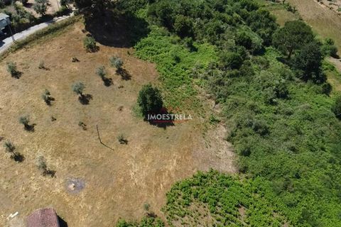 Gård i Seia, Guarda, Seia - € 110 000 | Ref: 25018 - foto 5