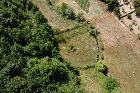 Gård i Seia, Guarda, Seia - € 110 000 | Ref: 25018 - foto 7