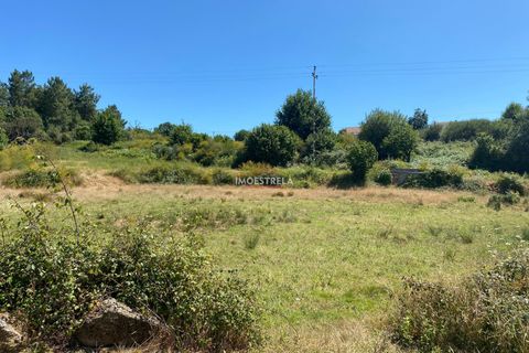 Gård i Seia, Guarda, Seia - € 110 000 | Ref: 25018 - foto 8