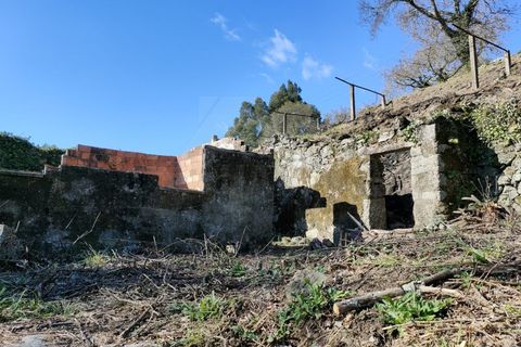 Ruinere i Ponte de Lima, Viana do Castelo, Ponte de Lima - € 79.000 | Ref: MDS4171 - foto 3