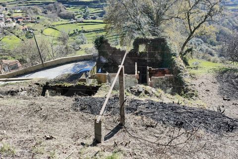 Ruinere i Ponte de Lima, Viana do Castelo, Ponte de Lima - € 79.000 | Ref: MDS4171 - foto 5