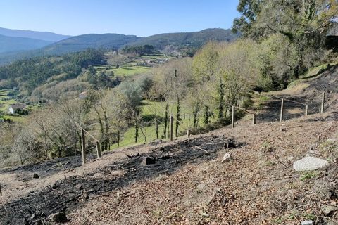 Ruinere i Ponte de Lima, Viana do Castelo, Ponte de Lima - € 79.000 | Ref: MDS4171 - foto 7