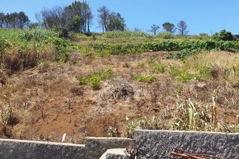 Erhvervsejendom i Calheta, Madeira, Calheta - € 150.000 | Ref: ND.0059 - foto 21