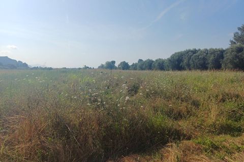 Tomt i Vecchiano, Pisa, Vecchiano - € 24 000 | Ref: 2025174 - foto 2