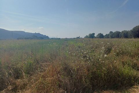 Tomt i Vecchiano, Pisa, Vecchiano - € 24 000 | Ref: 2025174 - foto 3