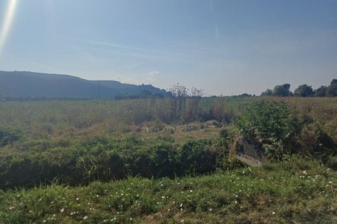 Tomt i Vecchiano, Pisa, Vecchiano - € 24 000 | Ref: 2025174 - foto 5