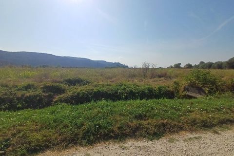 Tomt i Vecchiano, Pisa, Vecchiano - € 24 000 | Ref: 2025174 - foto 7