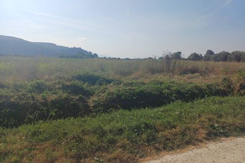 Tomt i Vecchiano, Pisa, Vecchiano - € 24 000 | Ref: 2025174 - foto 8