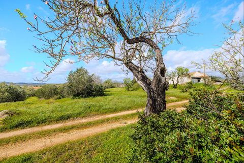 Helårsgrund i Lagoa, Faro, Lagoa - € 250.000 | Ref: GE8 9EC - foto 19
