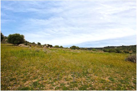 Tomt i Son Servera, Mallorca, Son Servera - € 320 000 | Ref: G&amp;amp;P_001222 - foto 2