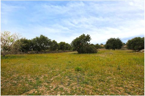 Tomt i Son Servera, Mallorca, Son Servera - € 320 000 | Ref: G&amp;amp;P_001222 - foto 3