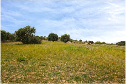 Tomt i Son Servera, Mallorca, Son Servera - € 320 000 | Ref: G&amp;amp;P_001222 - foto 4