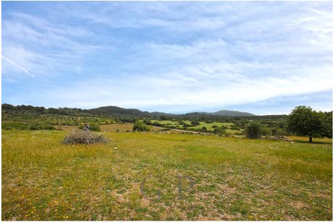 Tomt i Son Servera, Mallorca, Son Servera - € 320 000 | Ref: G&amp;amp;P_001222 - foto 5