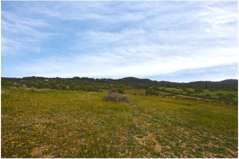 Tomt i Son Servera, Mallorca, Son Servera - € 320 000 | Ref: G&amp;amp;P_001222 - foto 6