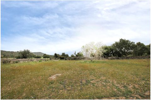 Tomt i Son Servera, Mallorca, Son Servera - € 320 000 | Ref: G&amp;amp;P_001222 - foto 7