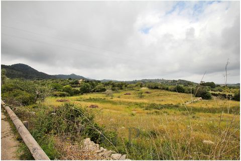 Helårsgrund i Son Servera, Mallorca, Son Servera - € 405.000 | Ref: G&amp;amp;P_001223 - foto 6