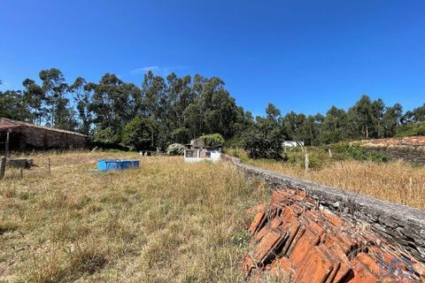 Terra a Esposende, Braga, Esposende - € 210.000 | Ref: 146333 - foto 3