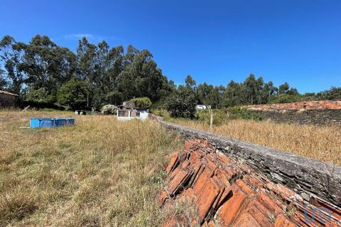 Terra a Esposende, Braga, Esposende - € 210.000 | Ref: 146333 - foto 4