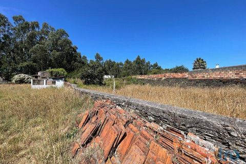 Terra a Esposende, Braga, Esposende - € 210.000 | Ref: 146333 - foto 7