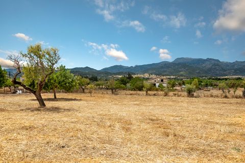 Cortijo i Selva, Mallorca, Selva - € 2.000.000 | Ref: SEL52132 - foto 14