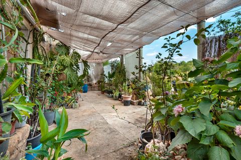 Cortijo i Selva, Mallorca, Selva - € 2.000.000 | Ref: SEL52132 - foto 15