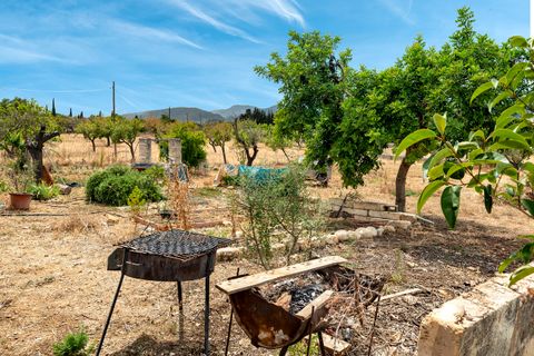 Cortijo i Selva, Mallorca, Selva - € 2.000.000 | Ref: SEL52132 - foto 16