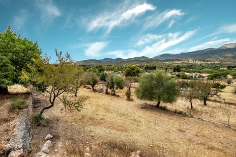 Cortijo i Selva, Mallorca, Selva - € 2.000.000 | Ref: SEL52132 - foto 23