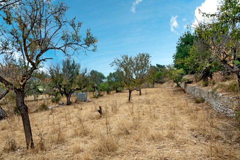 Cortijo i Selva, Mallorca, Selva - € 2.000.000 | Ref: SEL52132 - foto 25
