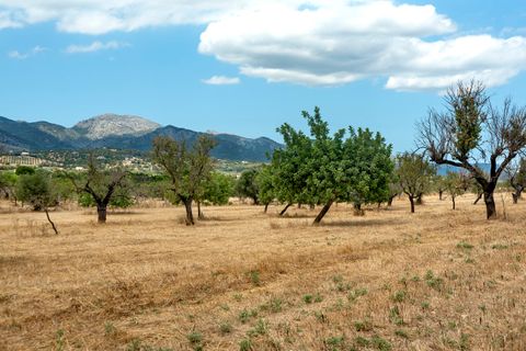 Cortijo i Selva, Mallorca, Selva - € 2.000.000 | Ref: SEL52132 - foto 26