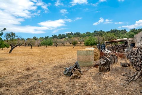 Cortijo i Selva, Mallorca, Selva - € 2.000.000 | Ref: SEL52132 - foto 28