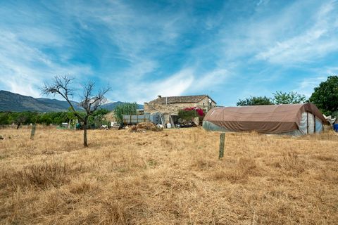 Cortijo i Selva, Mallorca, Selva - € 2.000.000 | Ref: SEL52132 - foto 29