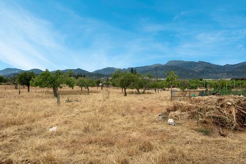 Cortijo i Selva, Mallorca, Selva - € 2.000.000 | Ref: SEL52132 - foto 30