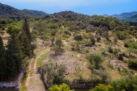Tomt i Pollenca, Mallorca, Pollenca - € 3 000 000 | Ref: POL0545 - foto 2