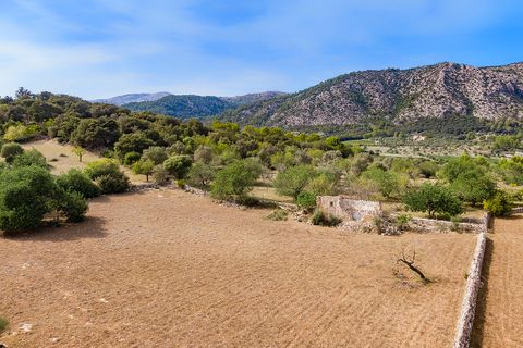 Tomt i Pollenca, Mallorca, Pollenca - € 3 000 000 | Ref: POL0545 - foto 3