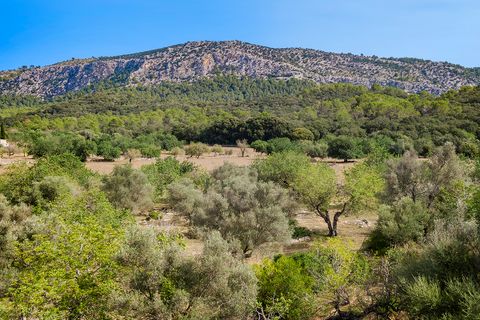 Tomt i Pollenca, Mallorca, Pollenca - € 3 000 000 | Ref: POL0545 - foto 4