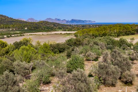 Tomt i Pollenca, Mallorca, Pollenca - € 3 000 000 | Ref: POL0545 - foto 5