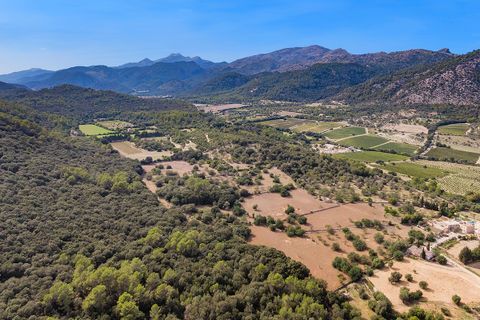 Tomt i Pollenca, Mallorca, Pollenca - € 3 000 000 | Ref: POL0545 - foto 6
