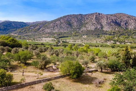 Tomt i Pollenca, Mallorca, Pollenca - € 3 000 000 | Ref: POL0545 - foto 7