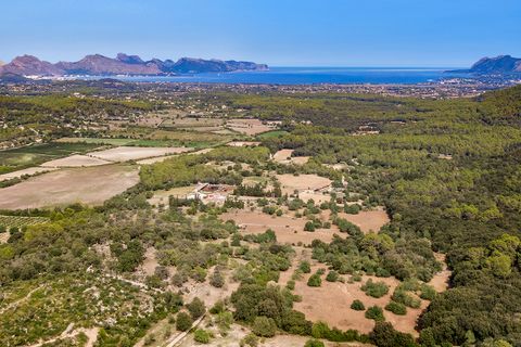 Tomt i Pollenca, Mallorca, Pollenca - € 3 000 000 | Ref: POL0545 - foto 8