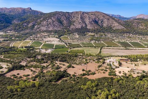 Tomt i Pollenca, Mallorca, Pollenca - € 3 000 000 | Ref: POL0545 - foto 9
