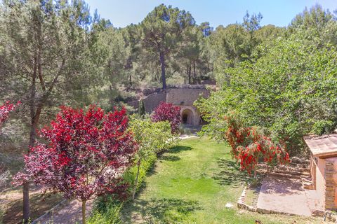 Cortijo i Andratx, Mallorca, Andratx - € 3.650.000 | Ref: SWOPTA5179ETV - foto 20