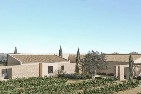 Terra a Pollenca, Mallorca, Pollenca - € 1.690.000 | Ref: PTP0644 - foto 4
