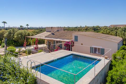 Landejendom i Campos, Mallorca, Campos - € 3.950.000 | Ref: SWOCAM5310 - foto 5