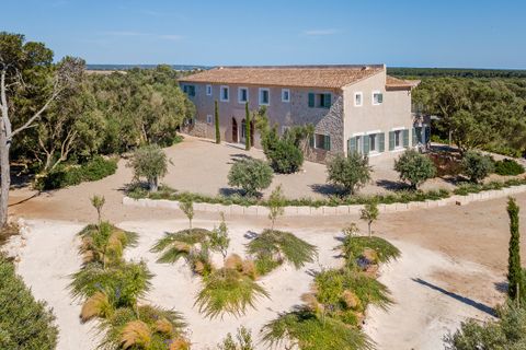 Landejendom i Campos, Mallorca, Campos - € 3.950.000 | Ref: SWOCAM5310 - foto 25