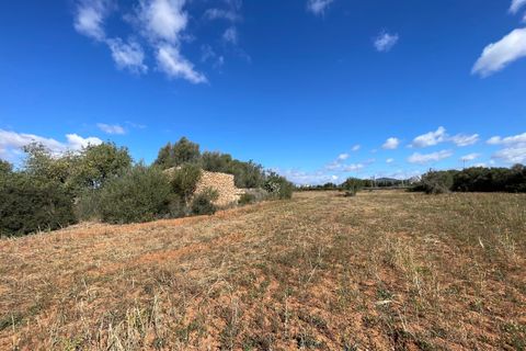 Helårsgrund i Llucmajor, Mallorca, Llucmajor - € 750.000 | Ref: SWOLLU0357 - foto 24