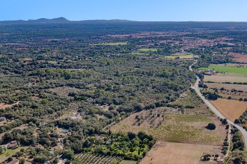 Landejendom i Sencelles, Mallorca, Sencelles - € 1.750.000 | Ref: SEN52583RM - foto 21