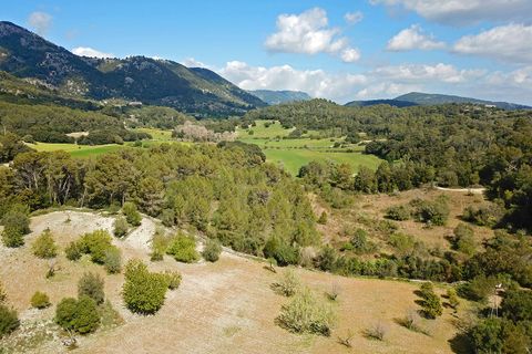 Helårsgrund i Campanet, Mallorca, Campanet - € 1.050.000 | Ref: CAM0544 - foto 3