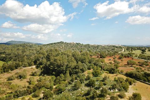 Helårsgrund i Campanet, Mallorca, Campanet - € 1.050.000 | Ref: CAM0544 - foto 4